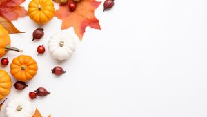 Preview wallpaper pumpkins, rose hips, berries, maple leaf, autumn, white background