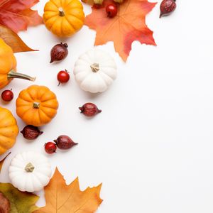 Preview wallpaper pumpkins, rose hips, berries, maple leaf, autumn, white background