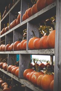Preview wallpaper pumpkins, shelves, wood, orange, autumn