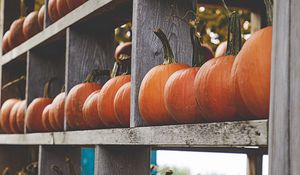 Preview wallpaper pumpkins, shelves, wood, orange, autumn