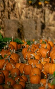 Preview wallpaper pumpkins, vegetables, autumn, orange