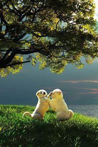 Preview wallpaper puppy, couple, sunset, nature, play, kids
