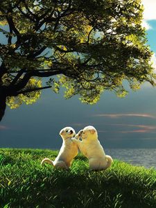 Preview wallpaper puppy, couple, sunset, nature, play, kids