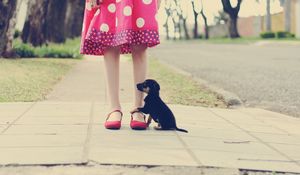 Preview wallpaper puppy, road, foot, loyalty