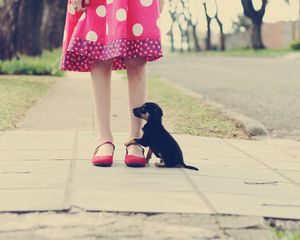 Preview wallpaper puppy, road, foot, loyalty