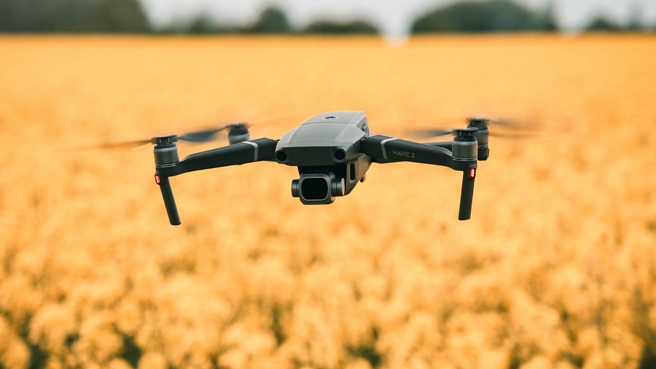 Wallpaper quadcopter, drone, flight, flowers, yellow, field