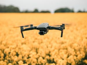 Preview wallpaper quadcopter, drone, flight, flowers, yellow, field