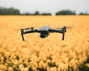 Preview wallpaper quadcopter, drone, flight, flowers, yellow, field