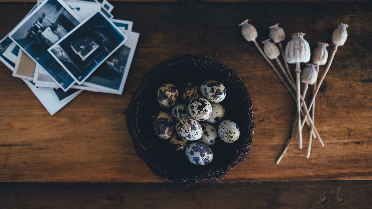 Wallpaper quail eggs, poppy, photos