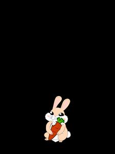 Preview wallpaper rabbit, carrot, art, vector, minimalism