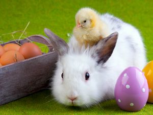 Preview wallpaper rabbit, chicken, eggs, easter, friendship