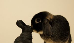 Preview wallpaper rabbit, curiosity, toy