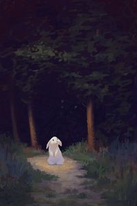 Preview wallpaper rabbit, forest, dark, cute
