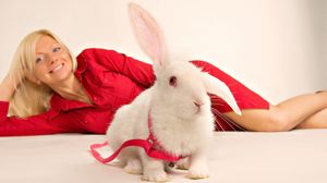 Preview wallpaper rabbit, girl, ornamental, sit