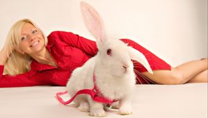 Preview wallpaper rabbit, girl, ornamental, sit