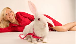 Preview wallpaper rabbit, girl, ornamental, sit