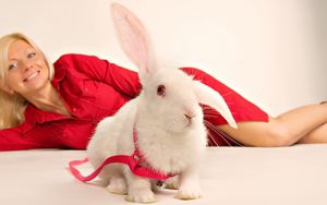 Preview wallpaper rabbit, girl, ornamental, sit