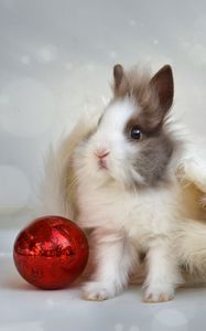 Preview wallpaper rabbit, new year, ball