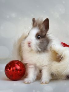 Preview wallpaper rabbit, new year, ball