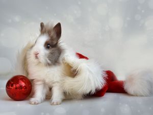Preview wallpaper rabbit, new year, ball