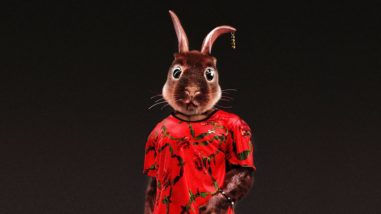 Wallpaper rabbit, style, funny, art