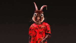 Preview wallpaper rabbit, style, funny, art