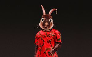Preview wallpaper rabbit, style, funny, art