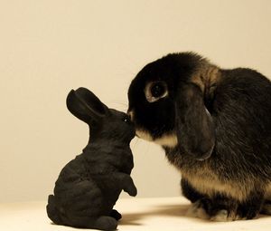Preview wallpaper rabbit, white, black, brindle, baby