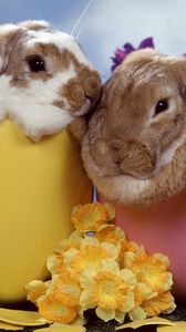 Preview wallpaper rabbits, couple, flowers, sleep