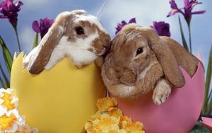 Preview wallpaper rabbits, couple, flowers, sleep