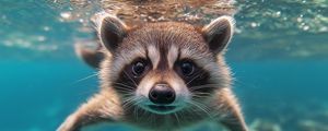 Preview wallpaper raccoon, animal, underwater, funny