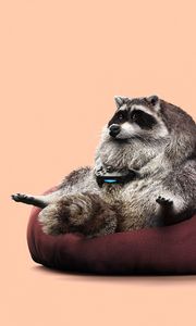 Preview wallpaper raccoon, joystick, funny, gamepad, game