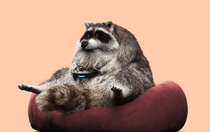 Preview wallpaper raccoon, joystick, funny, gamepad, game