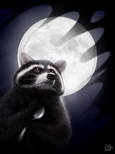 Preview wallpaper raccoon, moon, spoon, art, funny