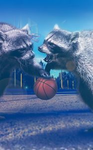 Preview wallpaper raccoons, basketball, photoshop