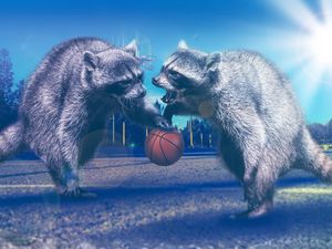 Preview wallpaper raccoons, basketball, photoshop
