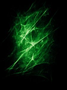 Preview wallpaper radioactive light, ectoplasm, green, gloss
