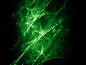 Preview wallpaper radioactive light, ectoplasm, green, gloss