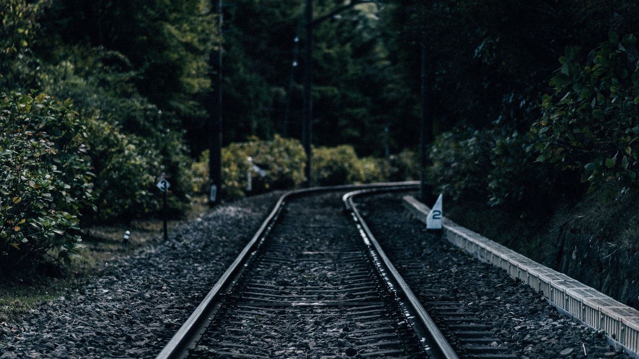 Wallpaper railroad, distance, rails, trees