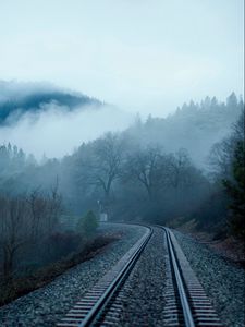 Preview wallpaper railroad, fog, trees, lake, mountain