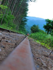 Preview wallpaper railroad, grass, train