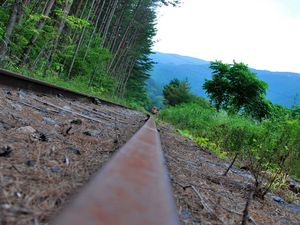 Preview wallpaper railroad, grass, train