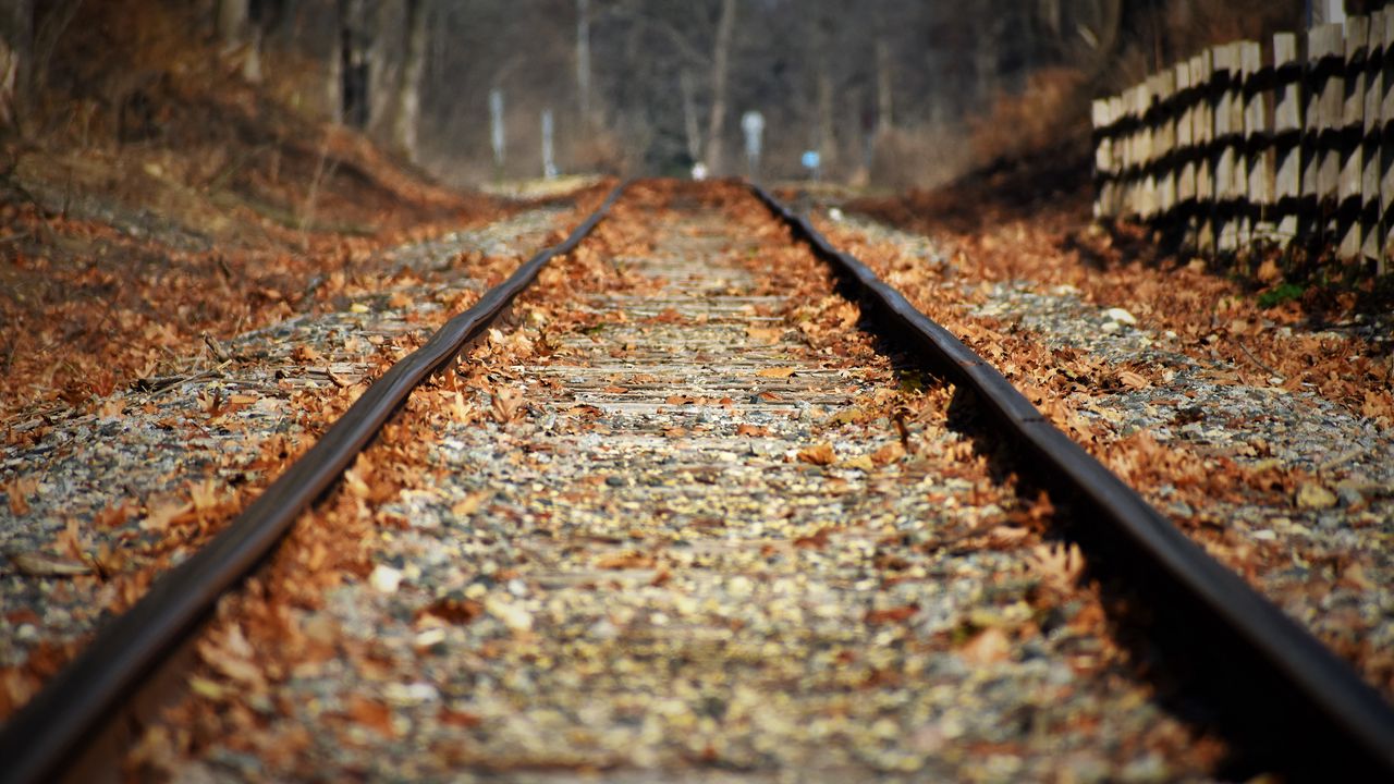 Wallpaper railroad, leaves, autumn, blur