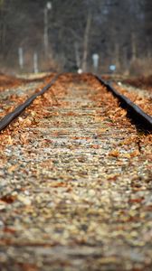 Preview wallpaper railroad, leaves, autumn, blur