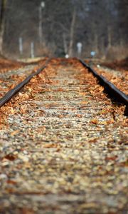 Preview wallpaper railroad, leaves, autumn, blur