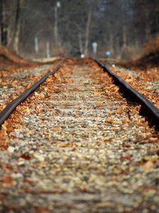 Preview wallpaper railroad, leaves, autumn, blur
