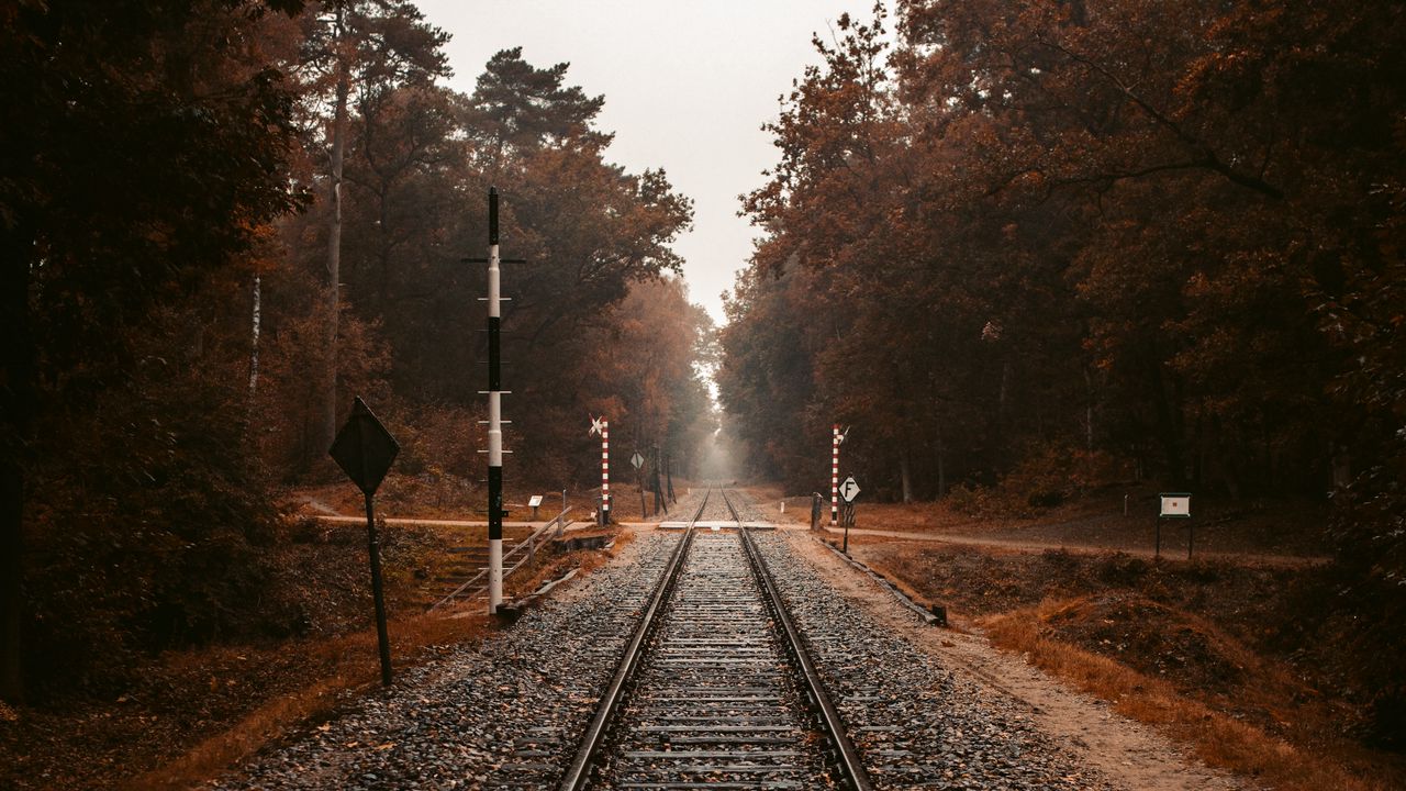 Wallpaper railroad, rails, autumn, trees
