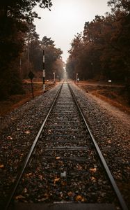 Preview wallpaper railroad, rails, autumn, trees