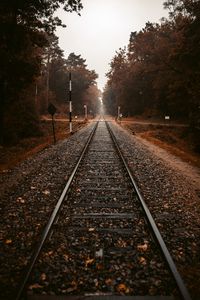 Preview wallpaper railroad, rails, autumn, trees