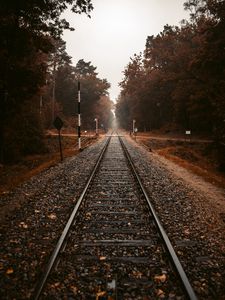 Preview wallpaper railroad, rails, autumn, trees